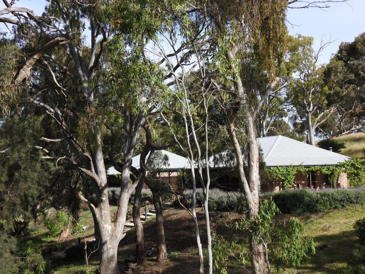 Battunga Cottages Watervale Exterior foto